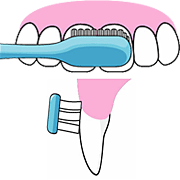 歯の表側の磨き方