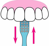 前歯の裏側の磨き方